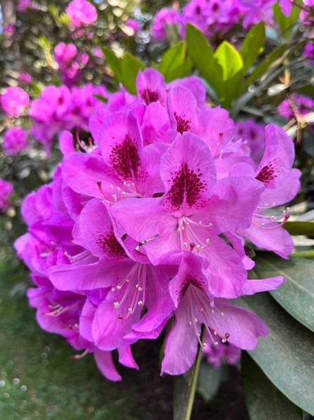 23-06-03 16-39-34 5790.jpeg